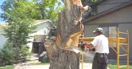 (VIDEO) Uzeo je motornu pilu i počeo rezati staro stablo, krajnji rezultat je i više nego impresivan