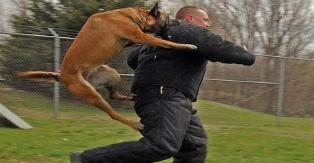 'Pomogao sam mu, a evo kako mi je vratio'