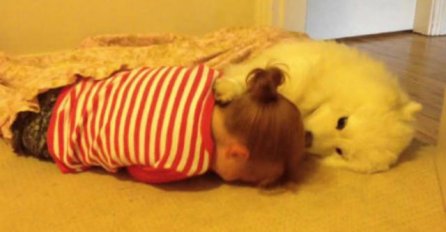 Otopit će vam srce: Ovaj pas se ne može odvojiti od djevojčice (VIDEO) 