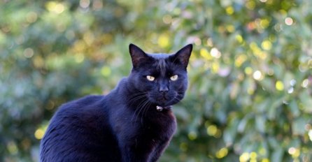 Najbizarnija sujevjerja slavenskih naroda