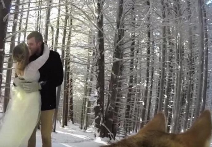 Njihovo vjenčanje je snimao pas, a rezultat je bolji nego što su očekivalli