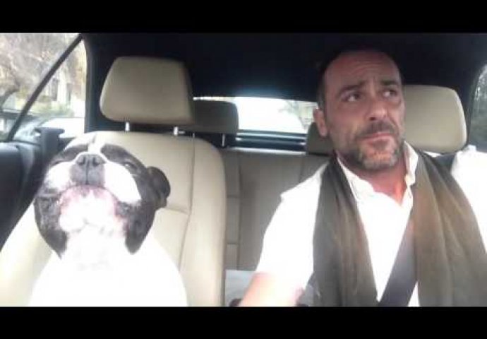 (VIDEO) Objasnio kako se to radi: Reakcija psa na poznatu pjesmu je iznenadila čak i vlasnika
