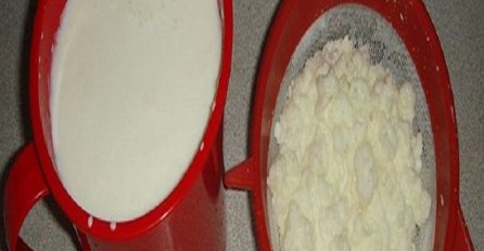 Kefir u kombinaciji s ovom gljivom zamjenjuje stotine lijekova, čisti i pomlađuje cijeli organizam!