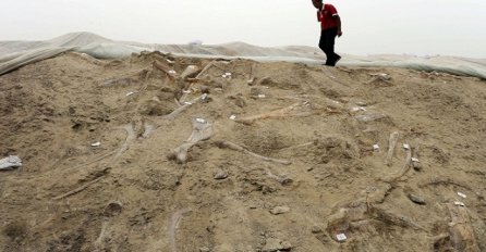 Kina: Pronađeni fosili dinosaura stari 180 miliona godina