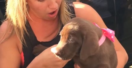 Poklonio je djevojci psa, trenutak poslije dešava se nešto nevjerovatno (VIDEO) 