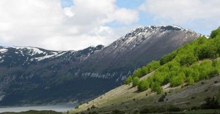 Muškarac poginuo u sječi šume na Vran planini