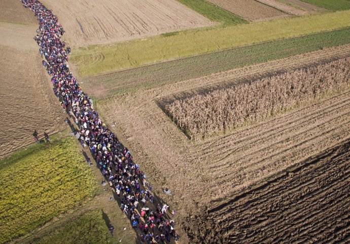 Slike koje su obilježile 2015. godinu