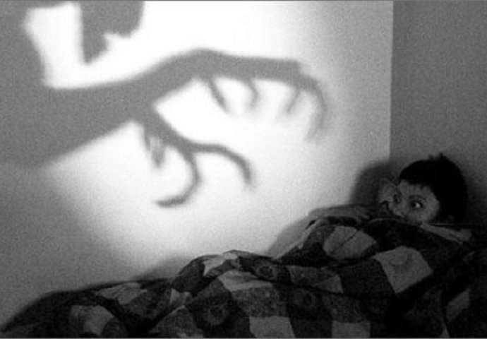 '' Ni dan danas nisam siguran jesam li još uvijek sanjao ili se to stvarno desilo... ''