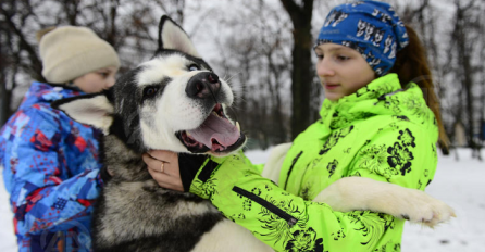 Zimske igre” u Moskvi: Sibirski haski i moto-akrobacije oduševili posjetioce