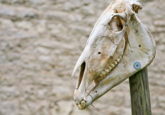 10 neobičnih božićnih tradicija iz cijelog svijeta