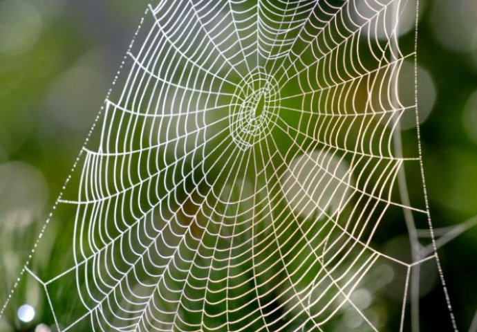 10 neobičnih božićnih tradicija iz cijelog svijeta