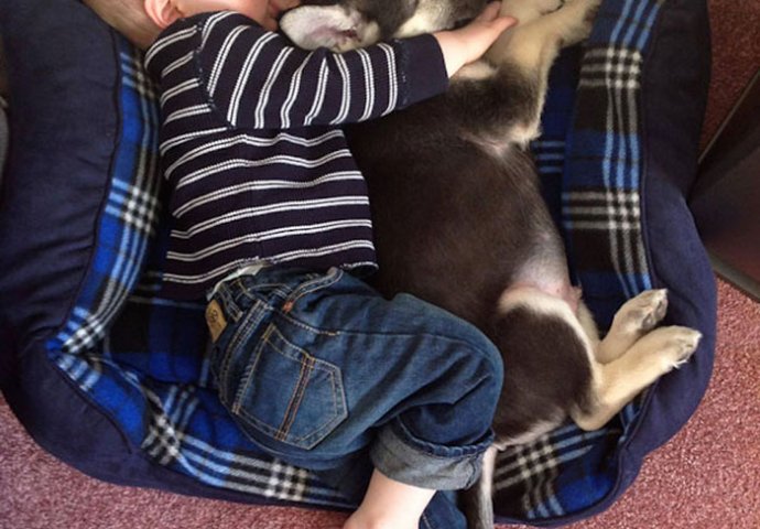 Posebna veza između djece i životinja: 20 fotografija koje će vam rastopiti srce