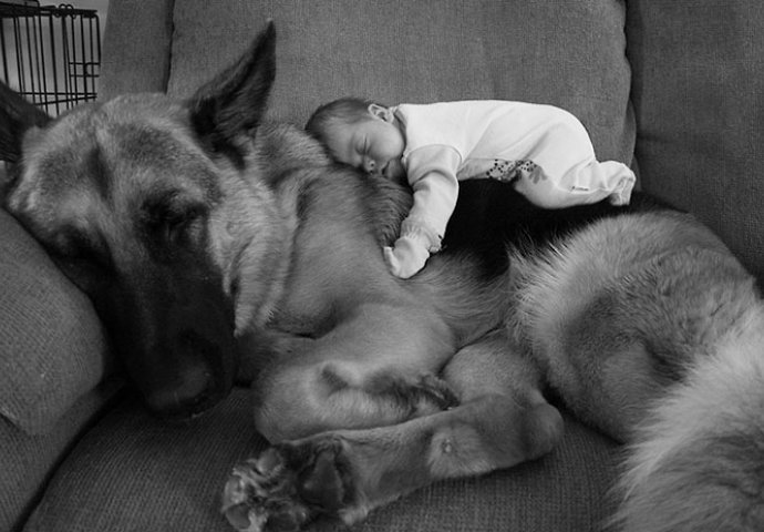Posebna veza između djece i životinja: 20 fotografija koje će vam rastopiti srce