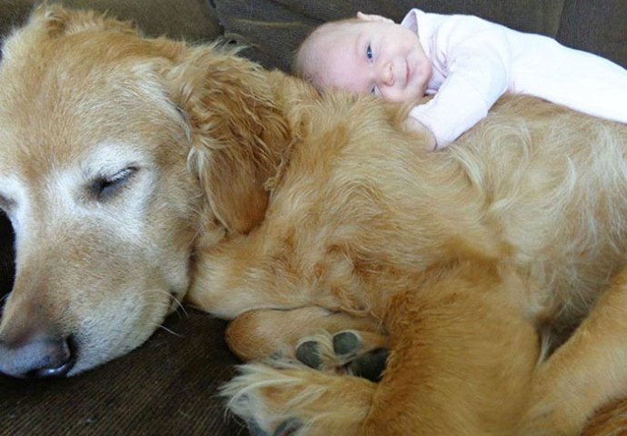 Posebna veza između djece i životinja: 20 fotografija koje će vam rastopiti srce