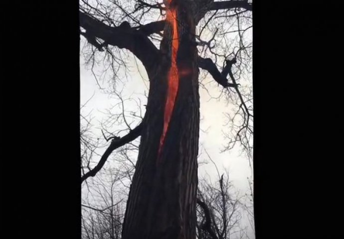 Snimili su neobjašnjivu pojavu koja će vam zalediti krv u žilama (VIDEO) 