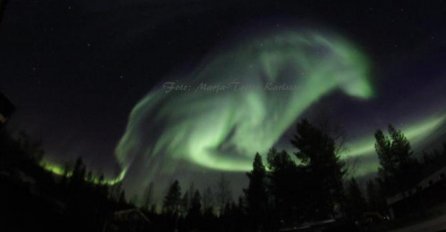 VELIČANSTVEN PRIZOR: Vuk sazdan od polarne svjetlosti pojavio se na nebu iznad Laponije