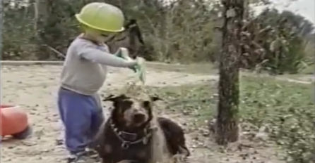 Dječaku zanimljivo a pas ne zna šta ga snašlo , obavezno pogledati (VIDEO)