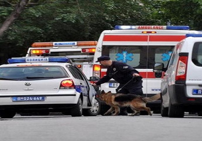 Kod Sremske Mitrovice poginule dvije osobe u saobraćajnoj nesreći