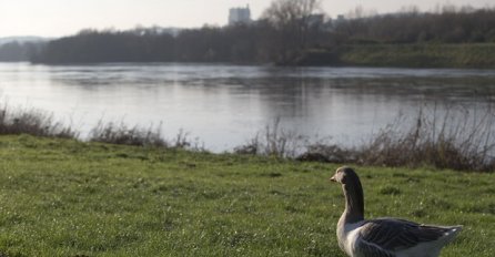 Belgija i Holandija razmjenjuju teritorij kako bi sebi olakšali život