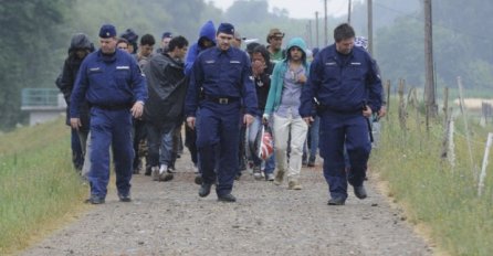 Pomažu makedonskim kolegama: Mađarska poslala policiju na makedonsko-grčku granicu