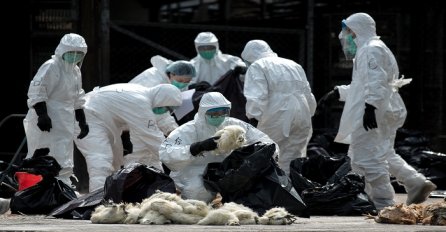 Kina: Umrla pacijentica zaražena virusom H5N6, druga u kritičnom stanju