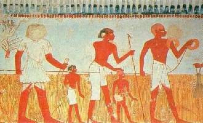 images-misteriozni-predmeti-egipcani-zito-stretch-330x200