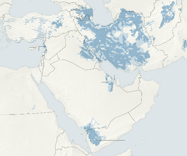 shiite-map-artboard-3