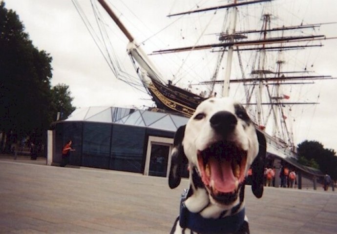 Beskućnicima su dali kamere za jednokratnu upotrebu, a kada vidite rezultate ostat ćete bez teksta