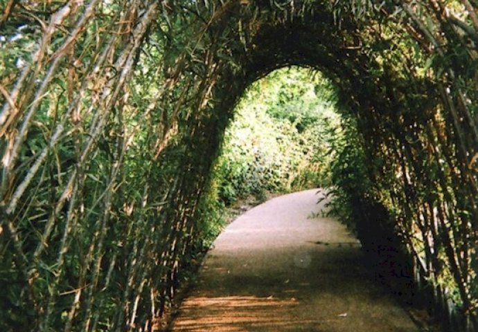 Beskućnicima su dali kamere za jednokratnu upotrebu, a kada vidite rezultate ostat ćete bez teksta