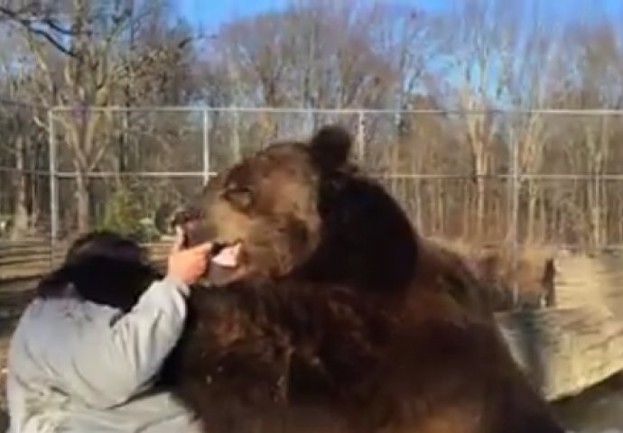 (VIDEO) Neobično prijateljstvo čovjeka i 680 kg teškog medvjeda