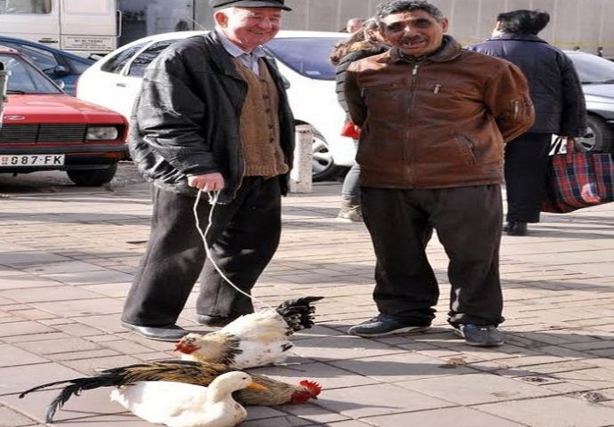 Vezao kokošku i izveo je u šetnju: Postao potpuni hit na internetu! (FOTO)