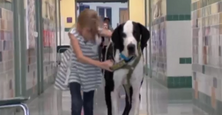 Još jedan dokaz zašto je  pas najbolji čovjekov prijatelj (VIDEO)