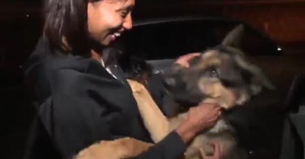 Ovaj snimak je obišao svijet , kada vidite šta je pas uradio rasplakati će vas (VIDEO)