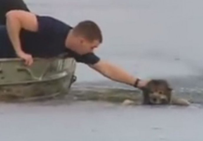 Dokaz da humani ljudi još uvijek postoje: Pogledajte kako su hrabri spasioci izvukli psića iz zaleđenog jezera
