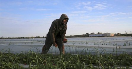 Najnoviji vid borbe: Špricaju otrov po palestinskim njivama u Gazi