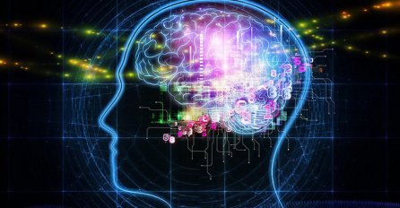  Američki naučnici: U mozak može stati informacija koliko i u 4,7 milijardi knjiga