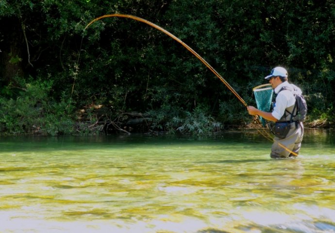 The Trout Fishing in Bosnia