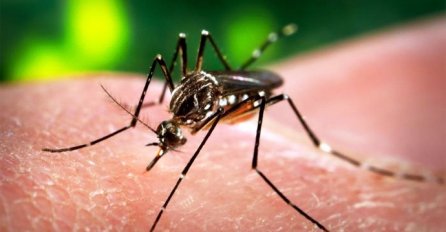 Dok se virus zika širi u Centralnoj Americi: Honduras počeo sa provođenjem masovne dezinsekcije