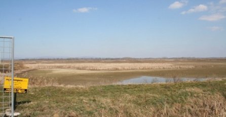 Alarmantno stanje u močvarnom kompleksu Bardača