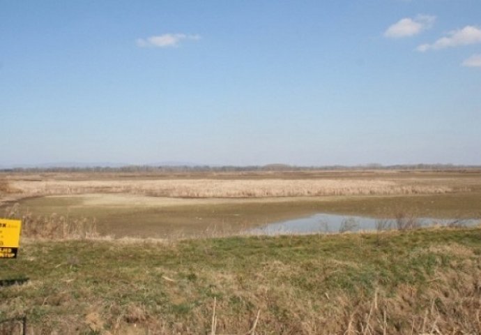 Alarmantno stanje u močvarnom kompleksu Bardača