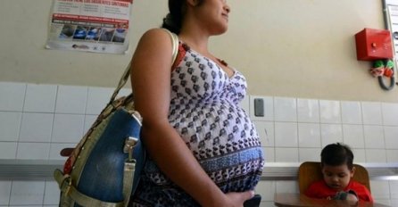 Španija: Zika virsuom zaražena i jedna trudnica