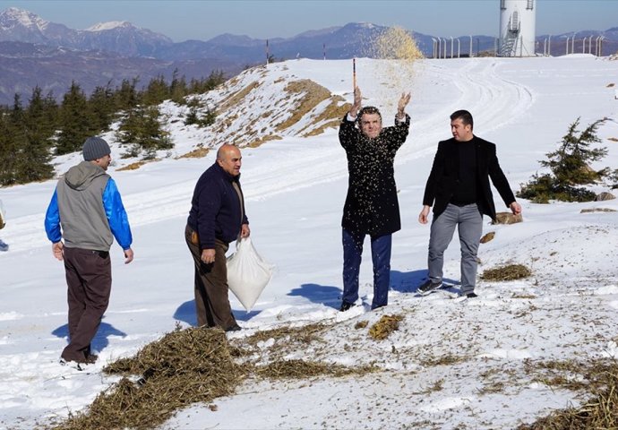 Briga o divljači: Odnijeli pšenicu i sijeno u planine da pomognu životinjama tokom zime