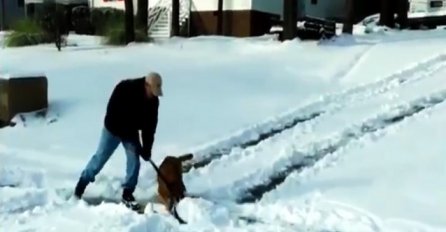 Pokušali su svojim vlasnicima pomoći da očiste snijeg, nastavak će vas nasmijati do suza (VIDEO)