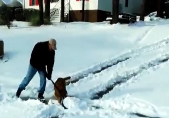 Pokušali su svojim vlasnicima pomoći da očiste snijeg, nastavak će vas nasmijati do suza (VIDEO)