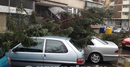 Nevrijeme zahvatilo RS: Olujni vjetar obarao stabla, oštećenja i na krovovima kuća