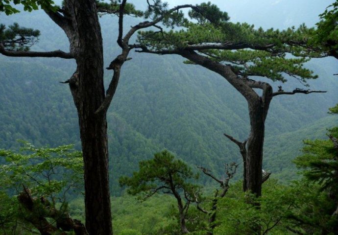 20 Facts About Bosnia and Herzegovina That You Didn’t Know