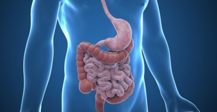  Crohnova bolest: Bolest crijeva