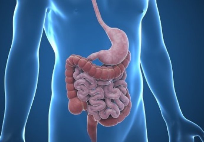  Crohnova bolest: Bolest crijeva
