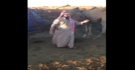 Ovaj čovjek ne koristi samo meso i mlijeko od svojih životinja, od ovoga će vam pozliti (VIDEO)