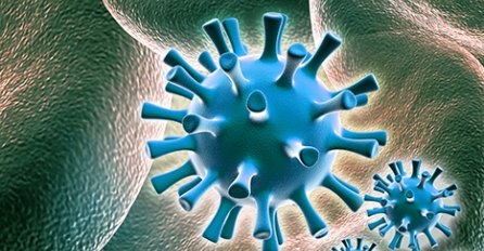 Šta je infektivna mononukleoza?